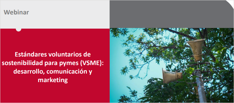  Estándares voluntarios de sostenibilidad para pymes (VSME): desarrollo, comunicación y marketing 